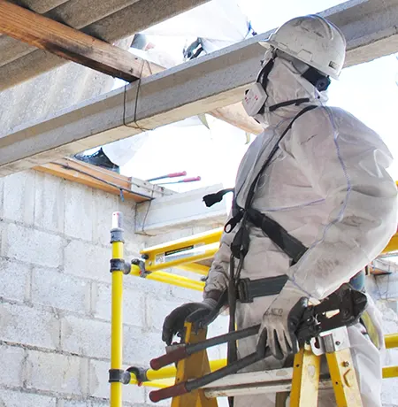 Asbestos inspection